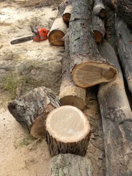 [Hearth.com] Log ID 9, Looks Like I Have Some White Oak Here.