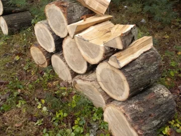 [Hearth.com] Log ID 9, Looks Like I Have Some White Oak Here.
