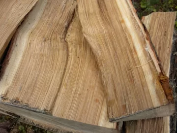 [Hearth.com] Log ID 9, Looks Like I Have Some White Oak Here.