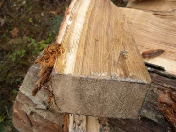 [Hearth.com] Log ID 9, Looks Like I Have Some White Oak Here.