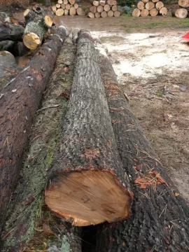 [Hearth.com] Log 10 ID, Have I Got a Red Oak Yet?