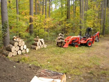 [Hearth.com] Log 10 ID, Have I Got a Red Oak Yet?