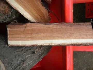 [Hearth.com] Log 10 ID, Have I Got a Red Oak Yet?