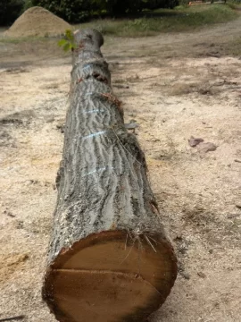 [Hearth.com] Log ID 11, How About Two Red Oaks now?