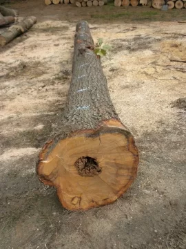 [Hearth.com] Log ID 11, How About Two Red Oaks now?