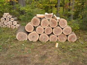 [Hearth.com] Log ID 11, How About Two Red Oaks now?