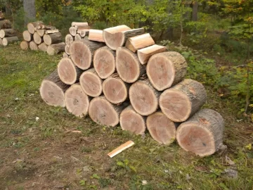 [Hearth.com] Log ID 11, How About Two Red Oaks now?