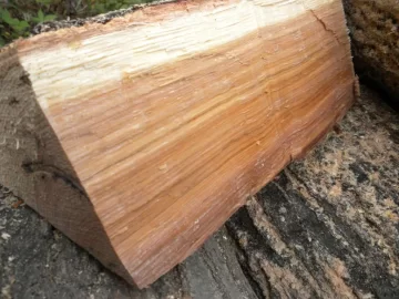 [Hearth.com] Log ID 11, How About Two Red Oaks now?