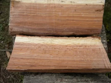 [Hearth.com] Log ID 11, How About Two Red Oaks now?