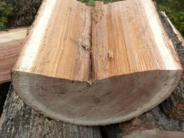 [Hearth.com] Log ID 11, How About Two Red Oaks now?