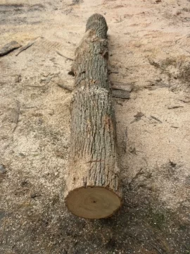 [Hearth.com] Log 12 ID please.  Believe it's an Ash?