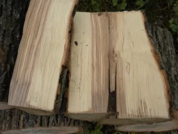 [Hearth.com] Log 12 ID please.  Believe it's an Ash?