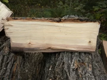 [Hearth.com] Log 12 ID please.  Believe it's an Ash?