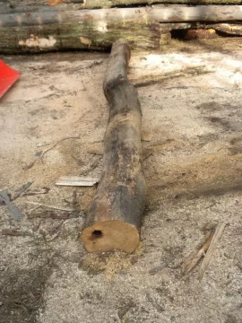 [Hearth.com] Log ID, Lucky Number 13 Please.