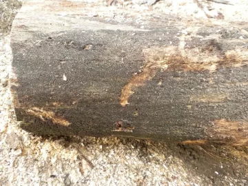 [Hearth.com] Log ID, Lucky Number 13 Please.