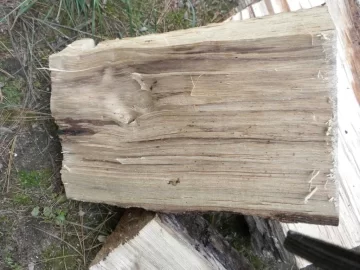 [Hearth.com] Log ID, Lucky Number 13 Please.