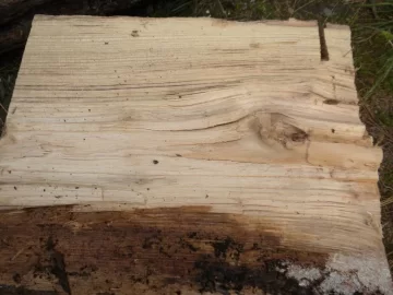 [Hearth.com] Log ID, Lucky Number 13 Please.