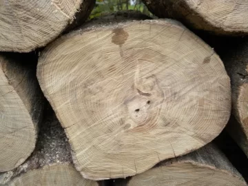 [Hearth.com] Log ID, Lucky Number 13 Please.