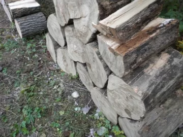 [Hearth.com] Log ID, Lucky Number 13 Please.