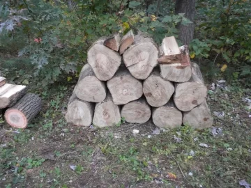 [Hearth.com] Log ID, Lucky Number 13 Please.