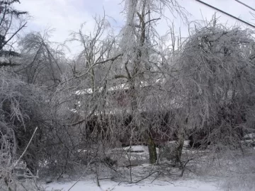 [Hearth.com] Warm when the power was out?