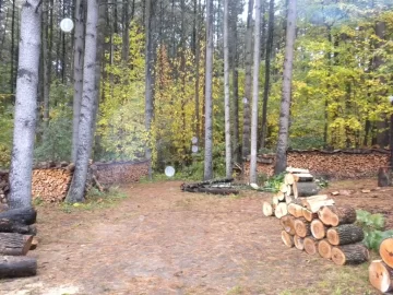 [Hearth.com] Pine