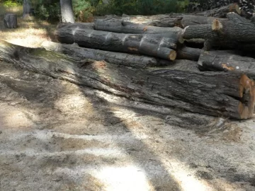 [Hearth.com] Log 15 ID Please, No Clue, Butt Ugly Also!