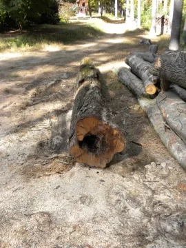 [Hearth.com] Log 15 ID Please, No Clue, Butt Ugly Also!