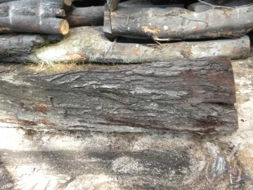 [Hearth.com] Log 15 ID Please, No Clue, Butt Ugly Also!