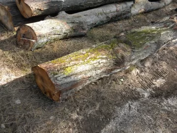 [Hearth.com] Log 15 ID Please, No Clue, Butt Ugly Also!