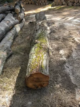 [Hearth.com] Log 15 ID Please, No Clue, Butt Ugly Also!
