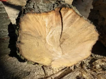 [Hearth.com] Log 15 ID Please, No Clue, Butt Ugly Also!