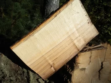 [Hearth.com] Log 15 ID Please, No Clue, Butt Ugly Also!