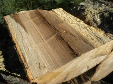 [Hearth.com] Log 15 ID Please, No Clue, Butt Ugly Also!
