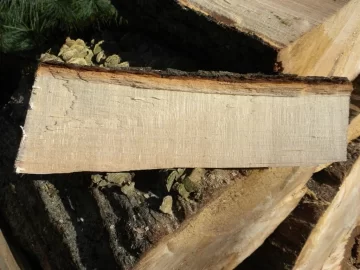 [Hearth.com] Log 15 ID Please, No Clue, Butt Ugly Also!