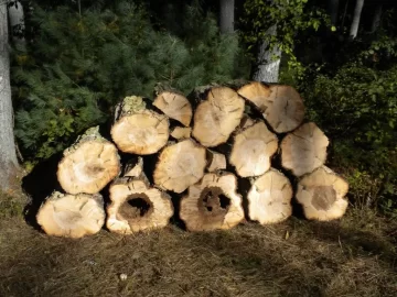 [Hearth.com] Log 15 ID Please, No Clue, Butt Ugly Also!