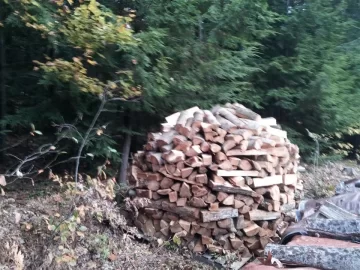[Hearth.com] my first attempt at a holzen hausen and my wood world