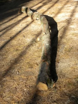 [Hearth.com] Log 18 ID, Looks Like Maple - Sugar, Norway?