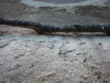 [Hearth.com] Log 18 ID, Looks Like Maple - Sugar, Norway?