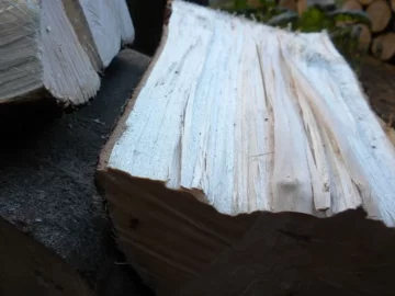 [Hearth.com] Log 18 ID, Looks Like Maple - Sugar, Norway?