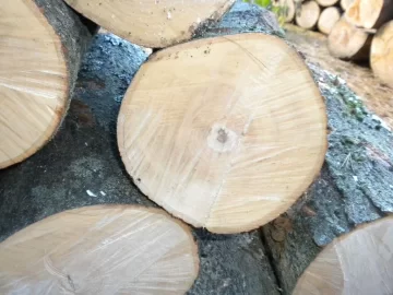 [Hearth.com] Log 18 ID, Looks Like Maple - Sugar, Norway?