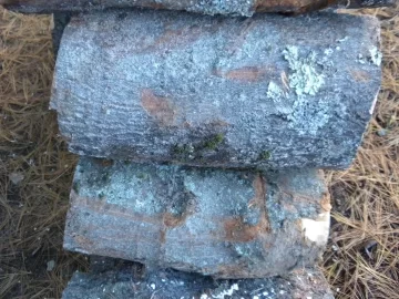 [Hearth.com] Log 18 ID, Looks Like Maple - Sugar, Norway?