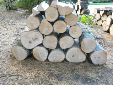 [Hearth.com] Log 18 ID, Looks Like Maple - Sugar, Norway?