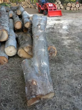 [Hearth.com] Log 19 ID Please, Another Hard Maple Maybe?