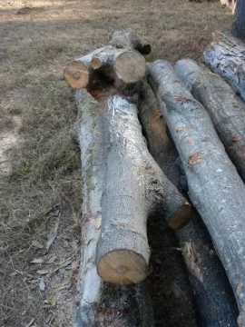 [Hearth.com] Log 19 ID Please, Another Hard Maple Maybe?