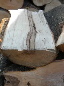 [Hearth.com] Log 19 ID Please, Another Hard Maple Maybe?