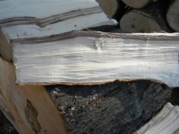 [Hearth.com] Log 19 ID Please, Another Hard Maple Maybe?