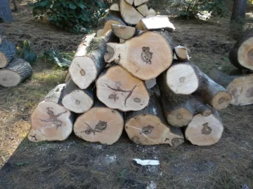 [Hearth.com] Log 19 ID Please, Another Hard Maple Maybe?