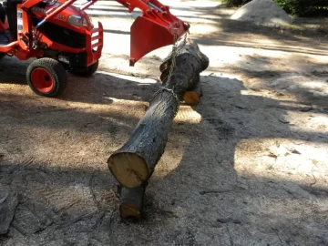 [Hearth.com] Log 20 ID, Maple ?