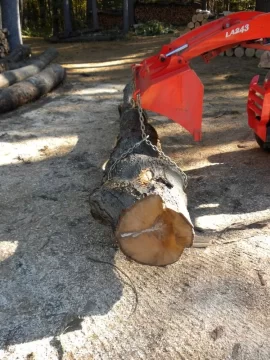 [Hearth.com] Log 20 ID, Maple ?